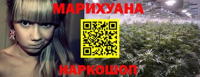 стафф Заводоуковск