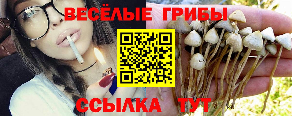 Галлюциногенные грибы мухоморы Владивосток