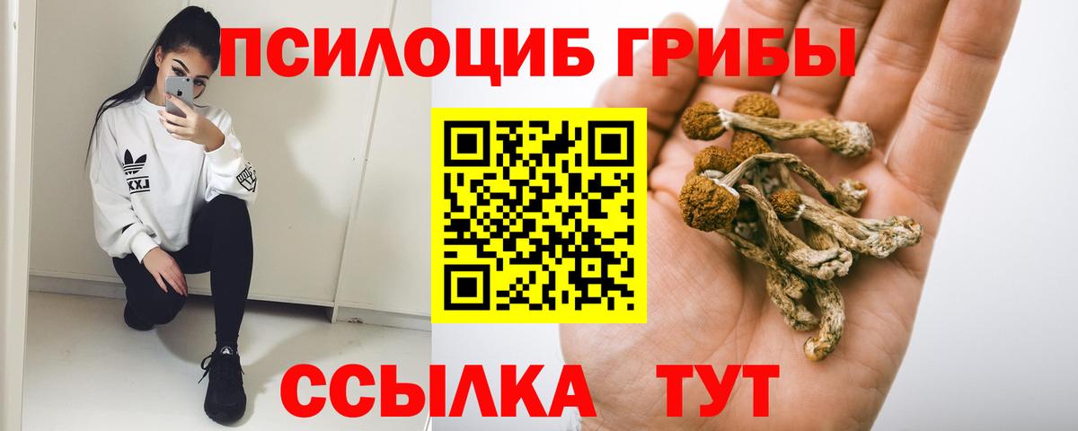 Владивосток  Псилоцибиновые грибы MAGIC MUSHROOMS  Вход с VPN 